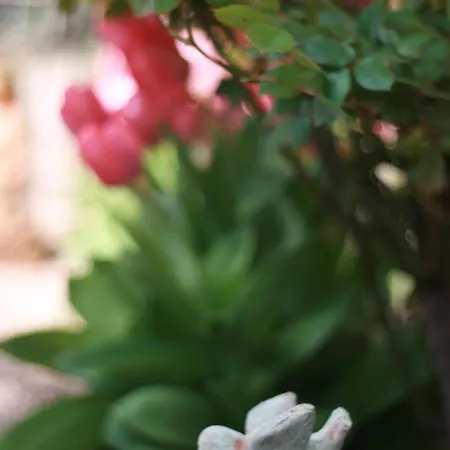 Chateau D'arfeuilles Et Tables D'hotes Arfeuilles