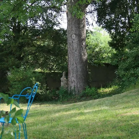 Chateau D'arfeuilles Et Tables D'hotes Bed & Breakfast