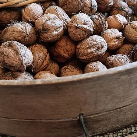 Chateau D'arfeuilles Et Tables D'hotes Panzió Arfeuilles