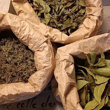 Bed & Breakfast Chateau D'arfeuilles Et Tables D'hotes *