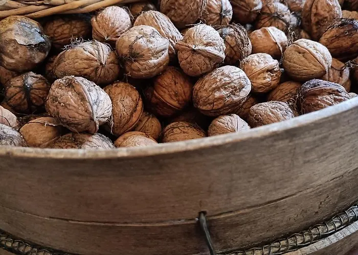 Chateau D'arfeuilles Et Tables D'hotes Отель типа 